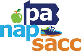 PA NAPSACC Logo graphic