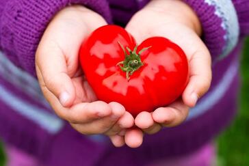 Image hands holding heart-shaped tomato